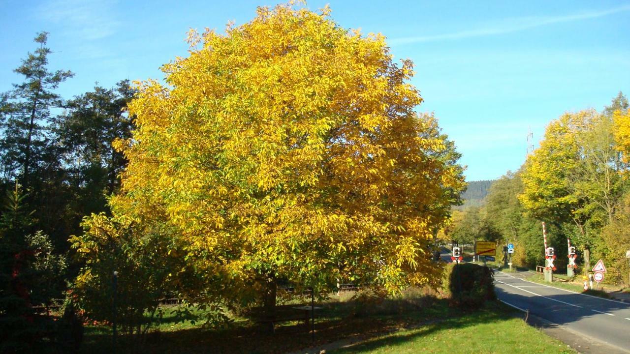 Haus Am Teutoburgerwald Lejlighed Sandebeck Eksteriør billede
